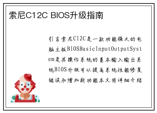 索尼C12C BIOS升级指南